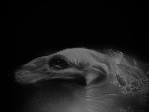 The ones that were left behind 2