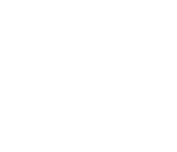 Mushroom Gallery Bar